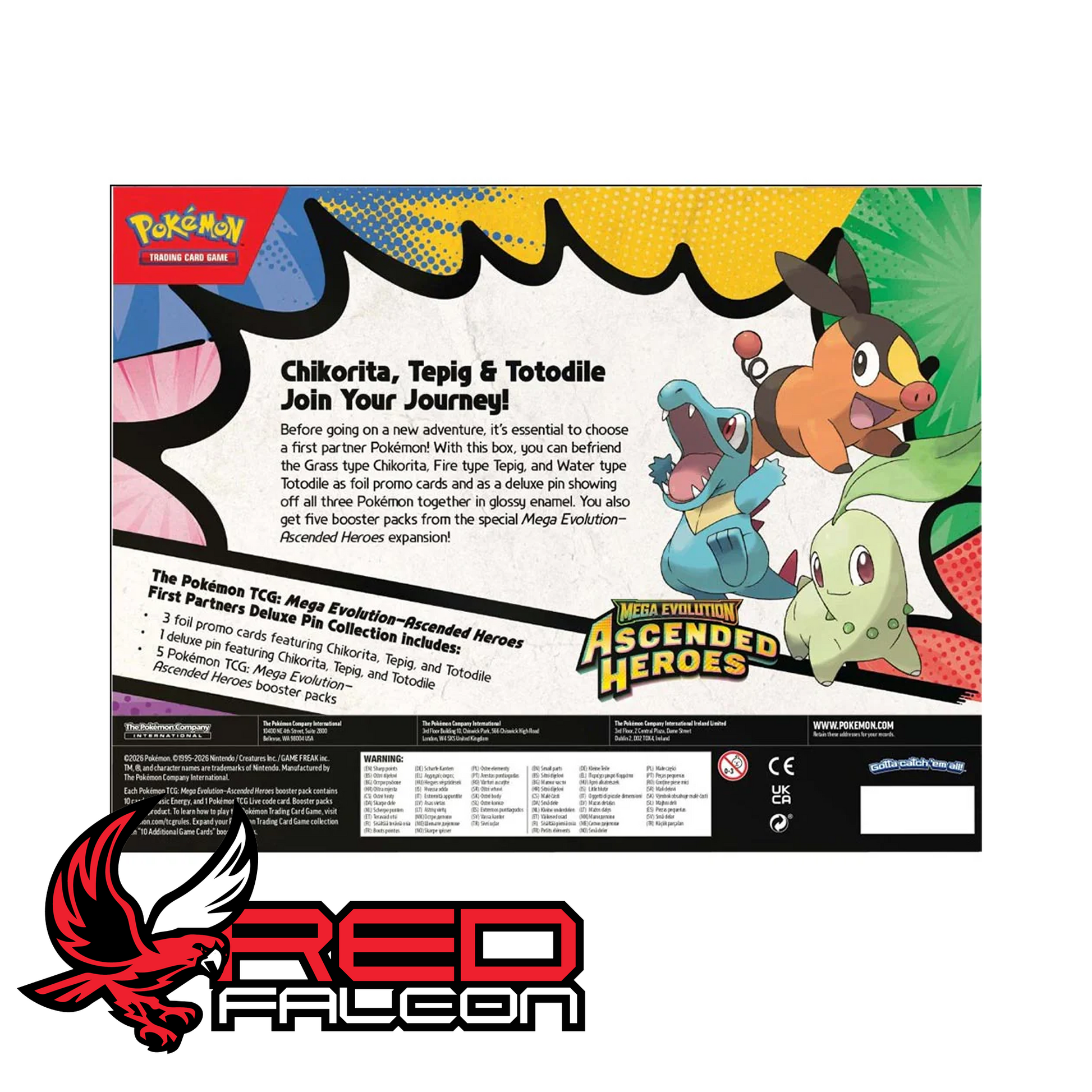 Back of Pokémon Ascended Heroes First Partners Deluxe Pin Collection box showing product details