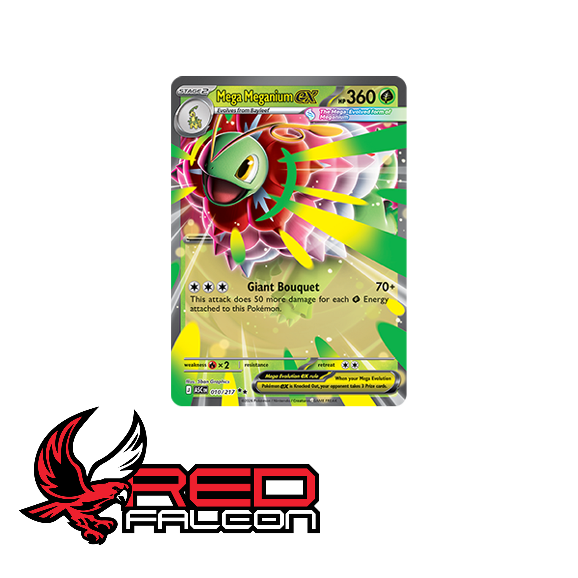 The exclusive Mega Meganium ex foil promo card featured in the Ascended Heroes collection box.